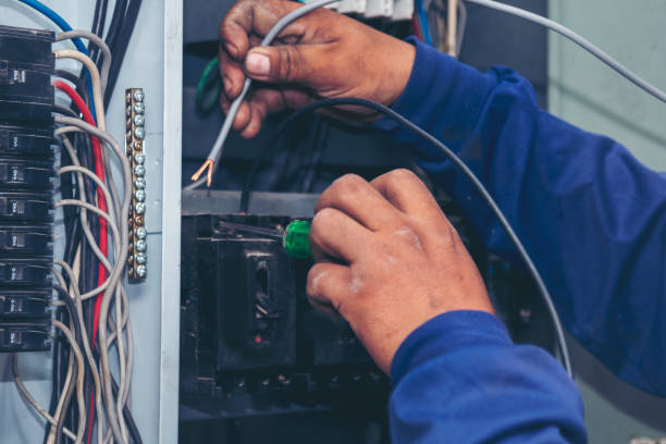 Best Electrical System Inspection  in Lake Lure, NC